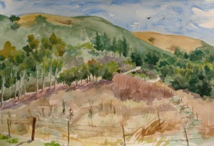 C0076 Trees off Curti Road - 22x15
