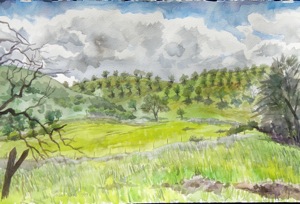 C0096 Paso Hills - 22x15