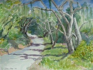 C0057 Shadows - 22x15